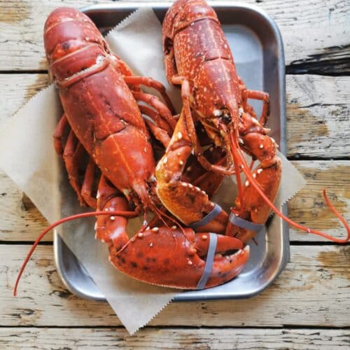 Two bright red native lobster cooked and ready to serve whole on silver baking tray placed on distressed driftwood table.