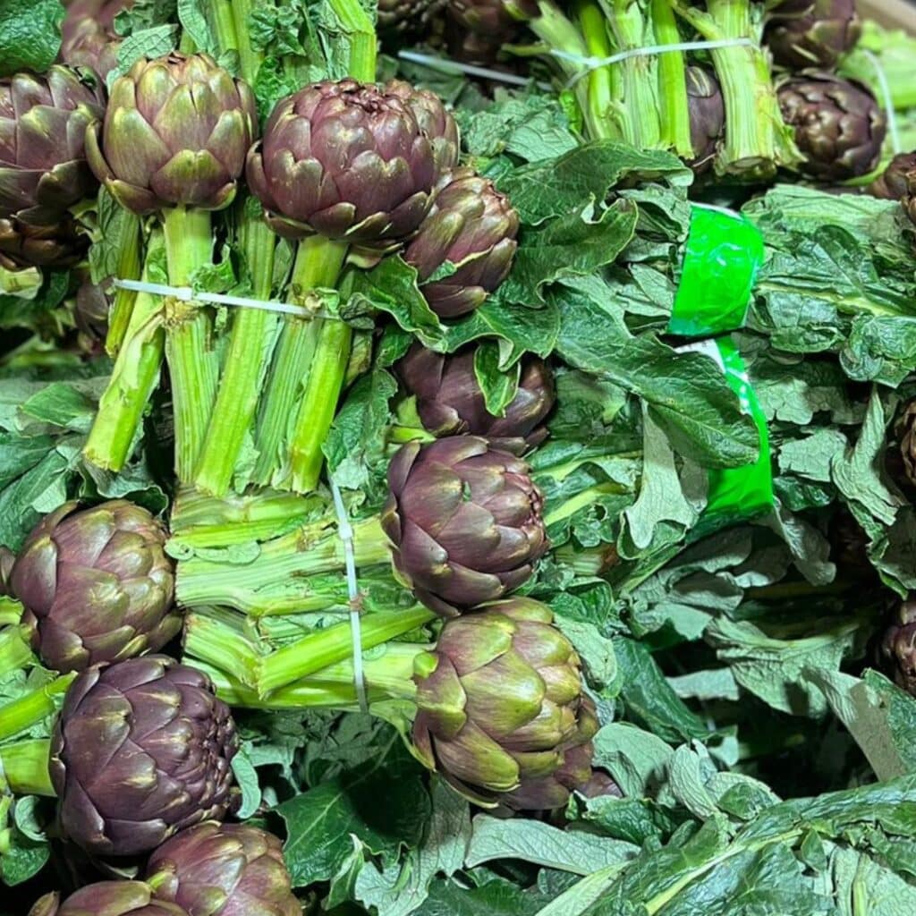 Pile of fresh British artichokes stacked up and ready to sell at market. bright greens and deep purple bulbs.