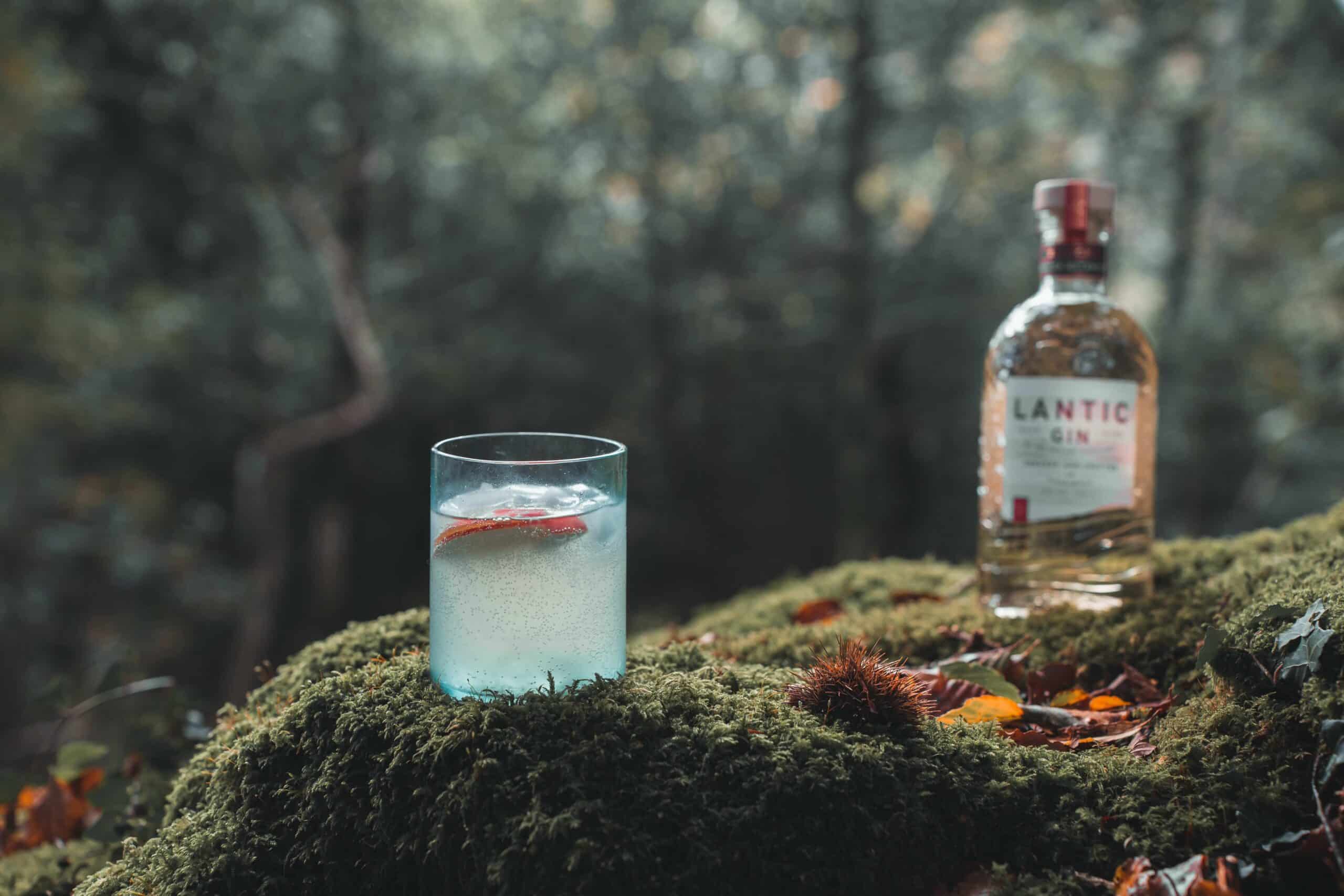 Lantic foraged Winter Gin placed on a moss covered rock with a winter cocktail in foreground in rocks glass and garnished with lemon