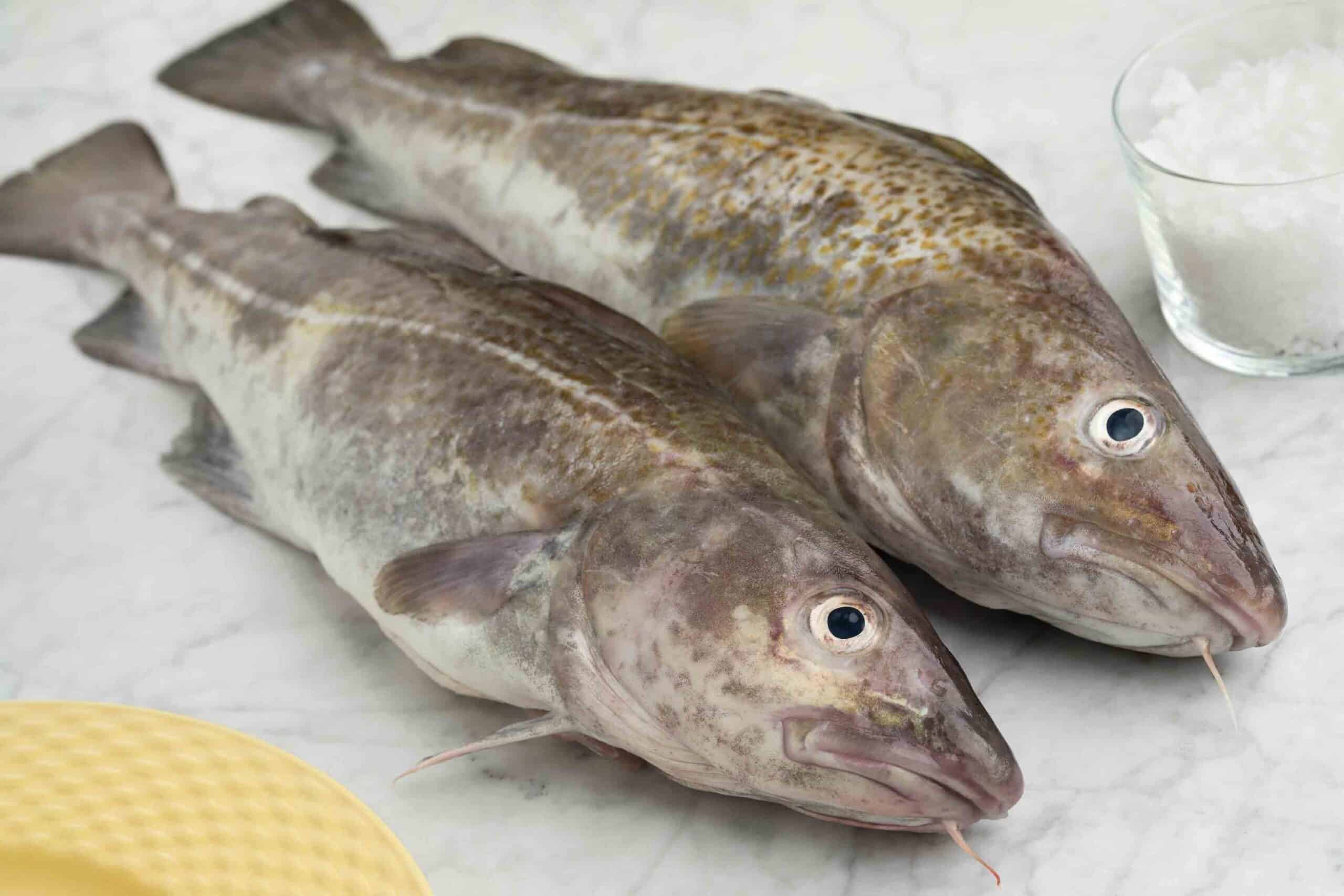 Cod2