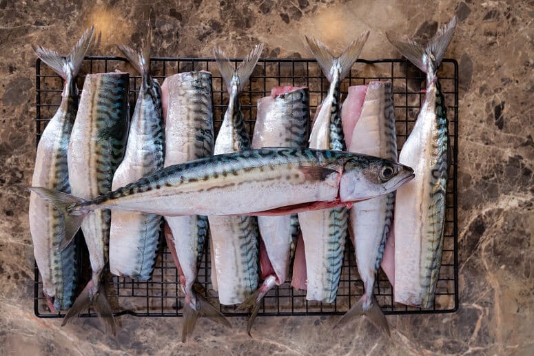 A few mackerel fish laying on a grill