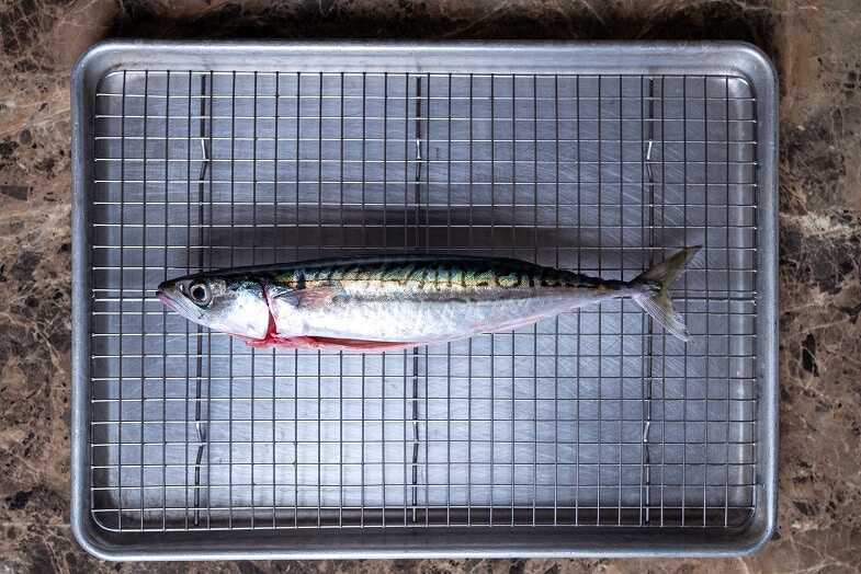 A fresh mackerel lying on a grill