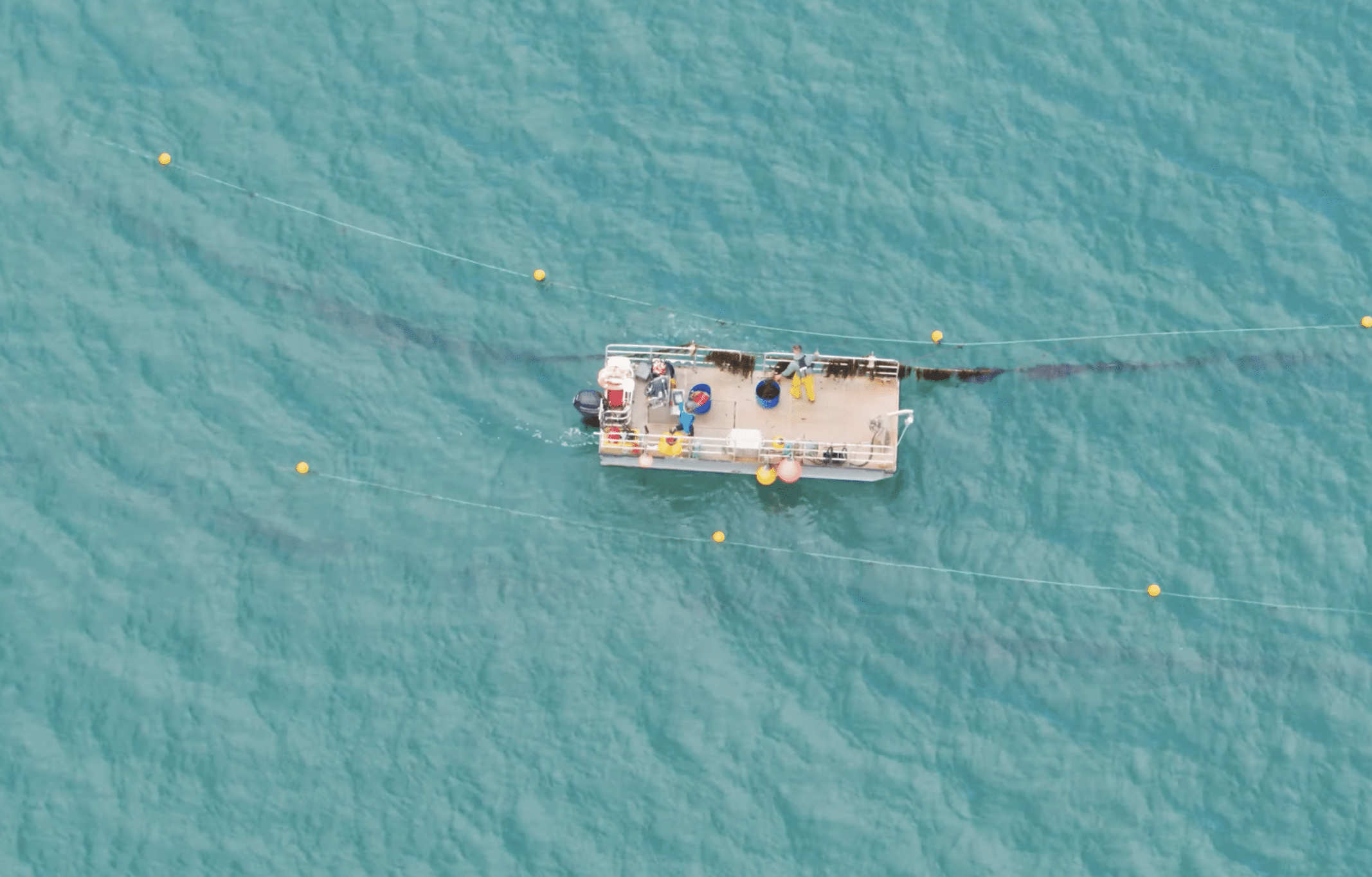 Turquoise sea waters of wales with a farming raft running along seaweed lines on a calm day.
