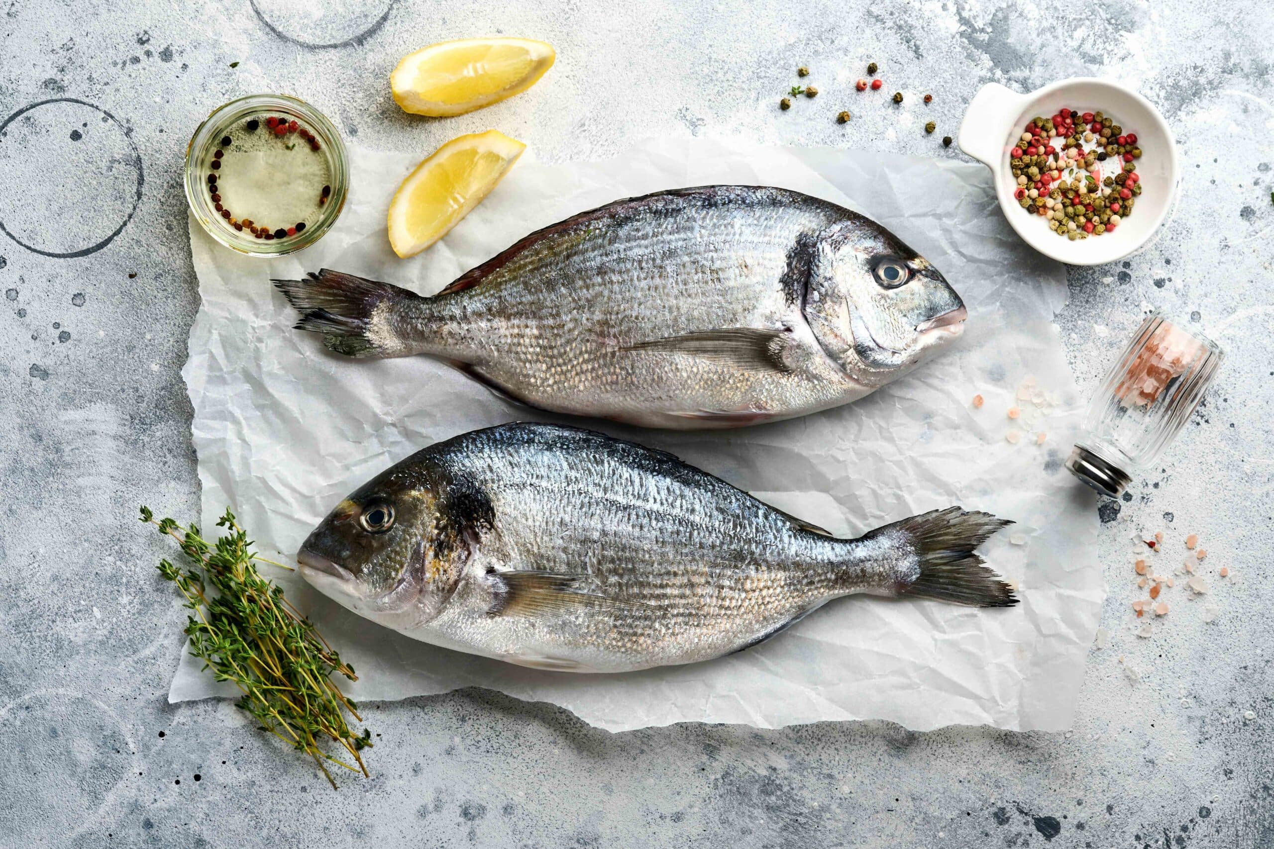 Sea-bream-6
