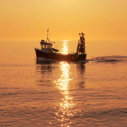 Fishing boat on a calm sea in early morning autumnal sunlight.