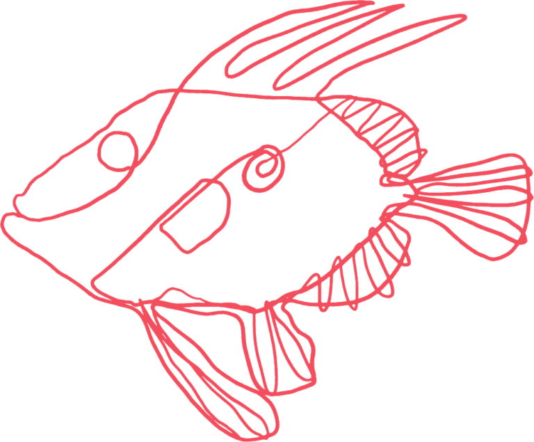 Balen Fish Ballan Wrasse – UK Habitat, Fishing Methods & Culinary Guide