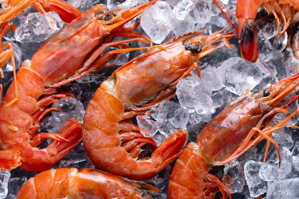 Fresh prawns displayed on ice chunks