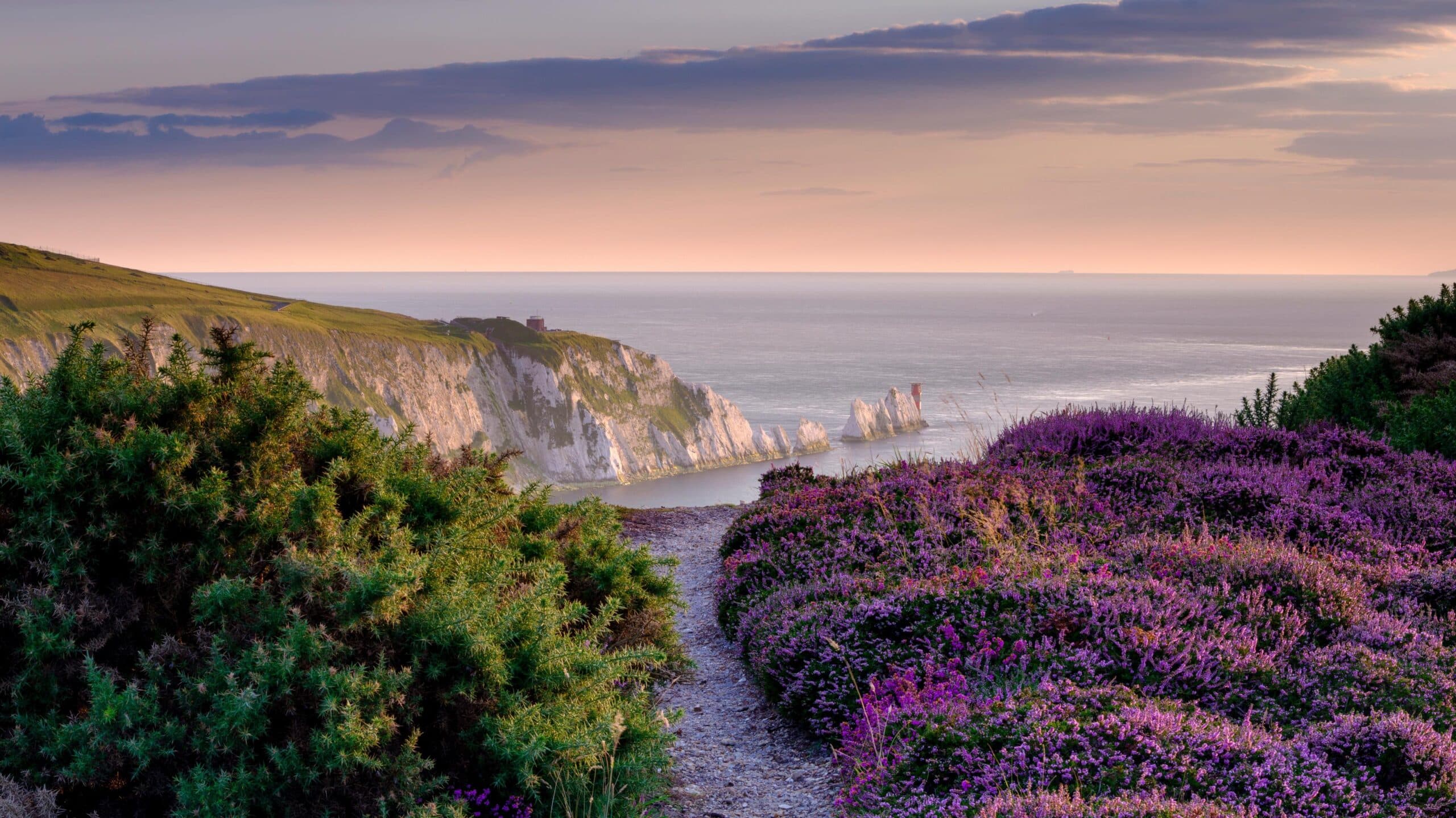 Autumnal sunset view of needles cliffs on isle of Wight with heather and grasses in foreground. stunning view over bay and cliffs