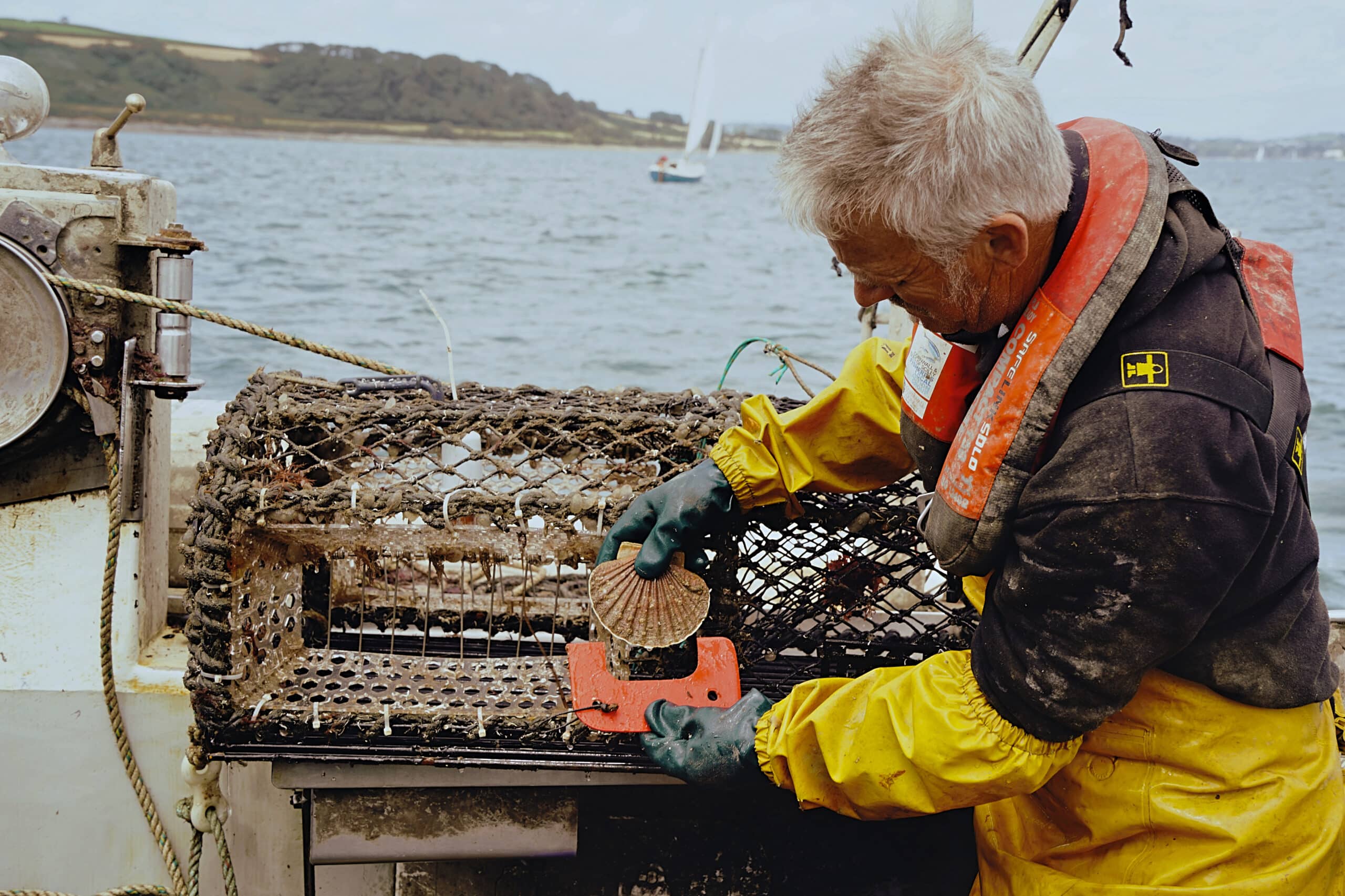 Scallop fishermen taking scallops from the pot after a haul, wearing full fishing attire including wax yellow trousers and life aid.