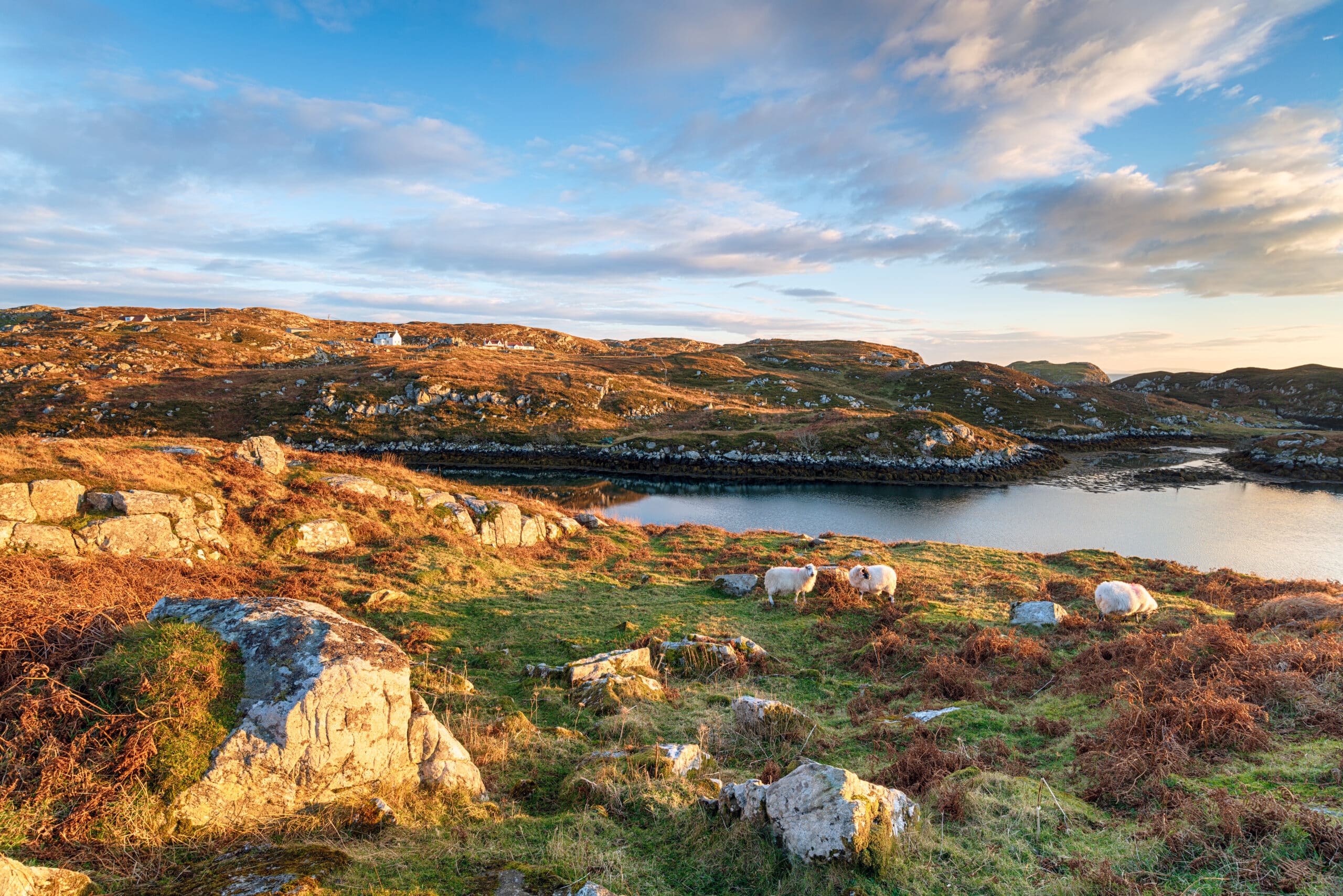 Beautiful sunny day at the lake shore in Mull, Inner Hebrides, Scotland, UK